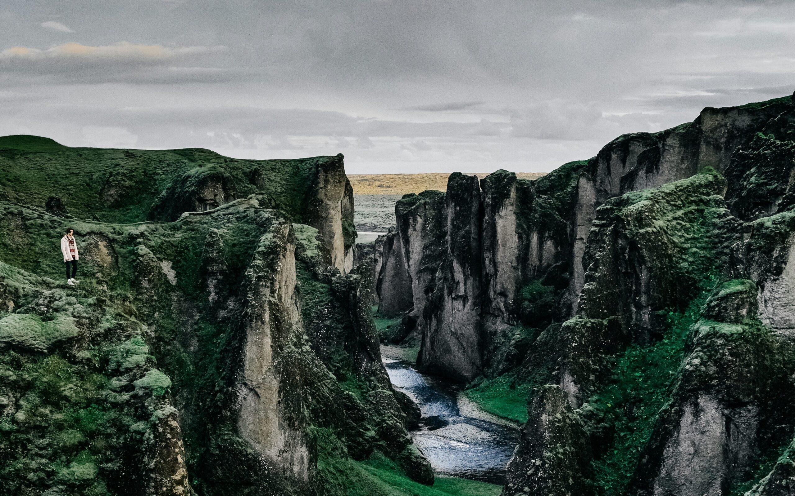 Person standing on a green cliff overlooking canyon.