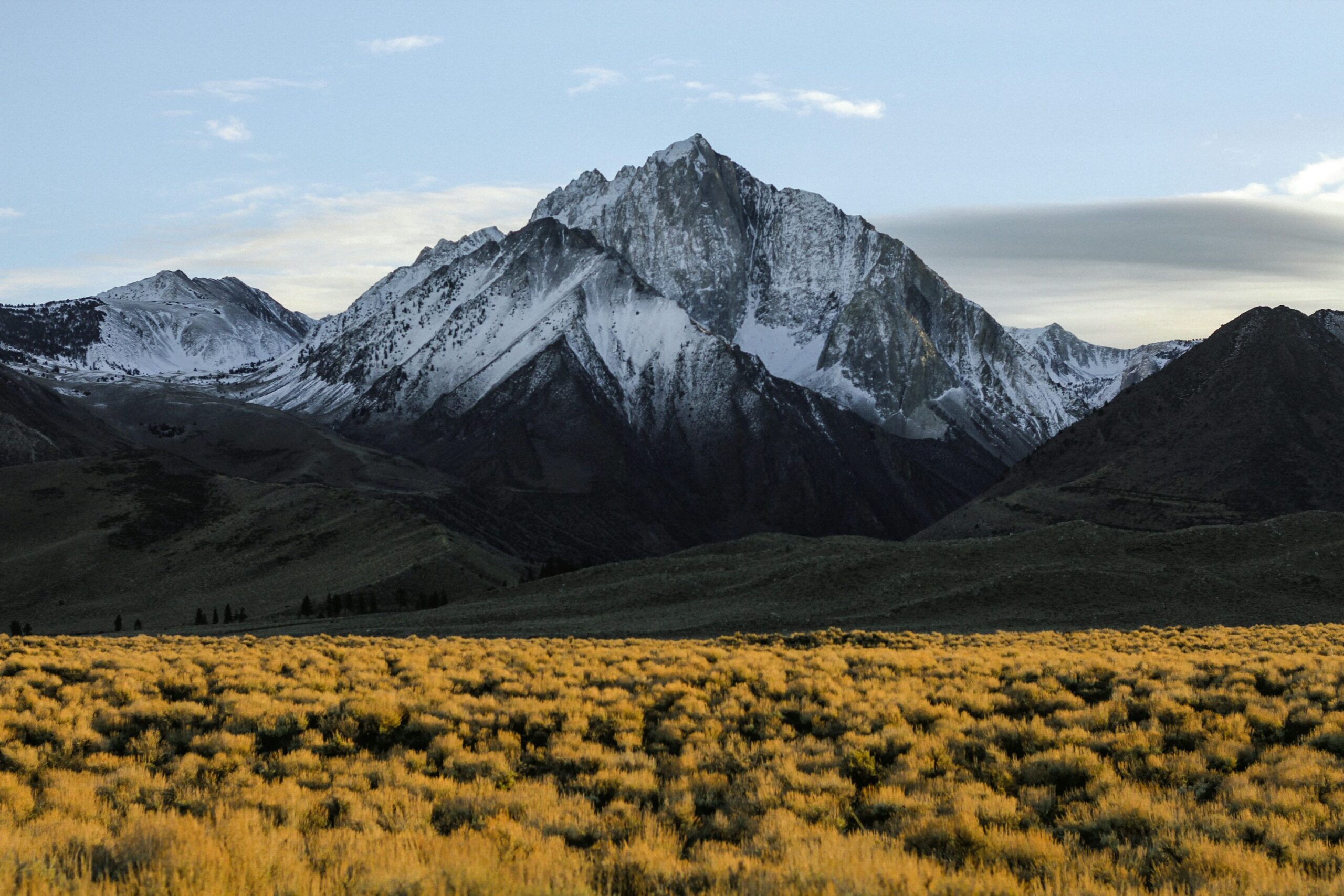 Mountain landscape with snow-capped peaks and grass field
